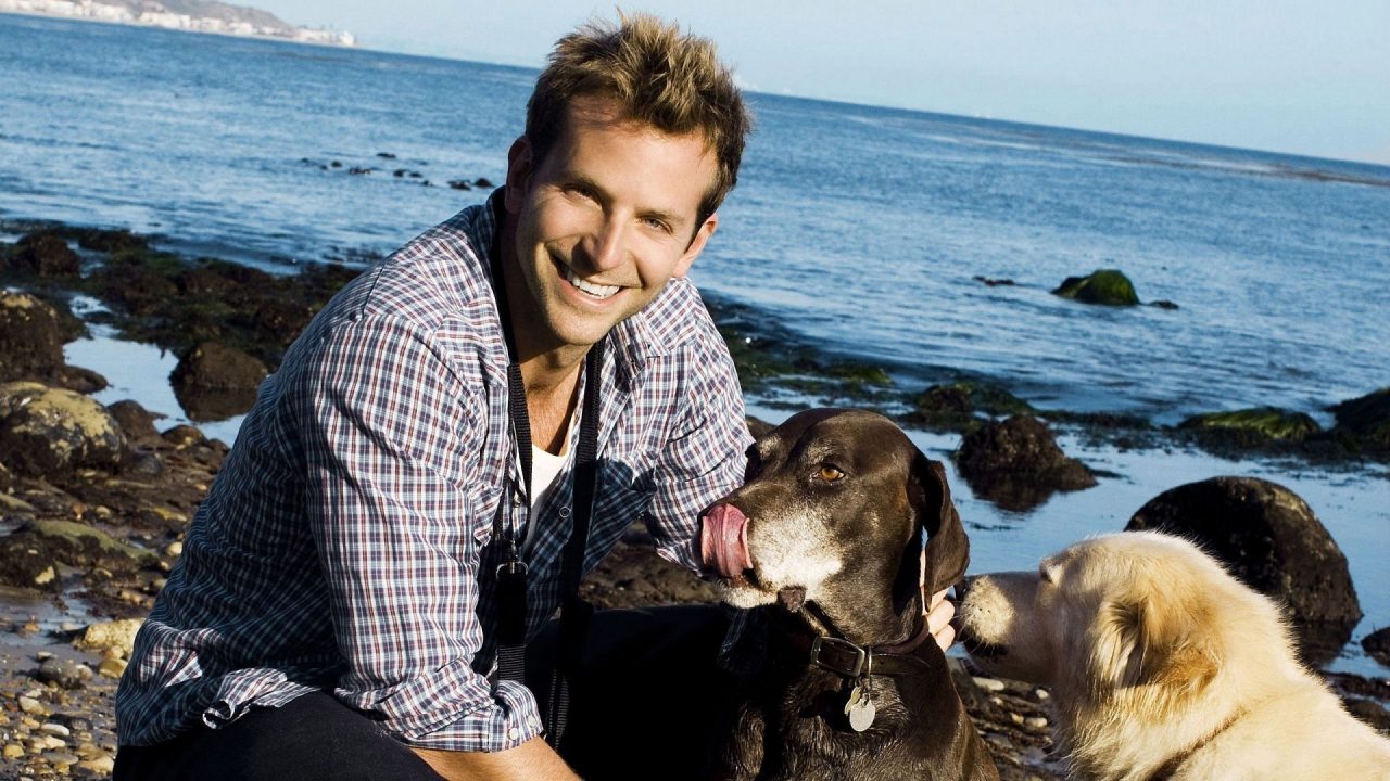 Bradley Cooper With Pet Dogs At Beach Wallpaper - 1080p Full HD Wallpaper