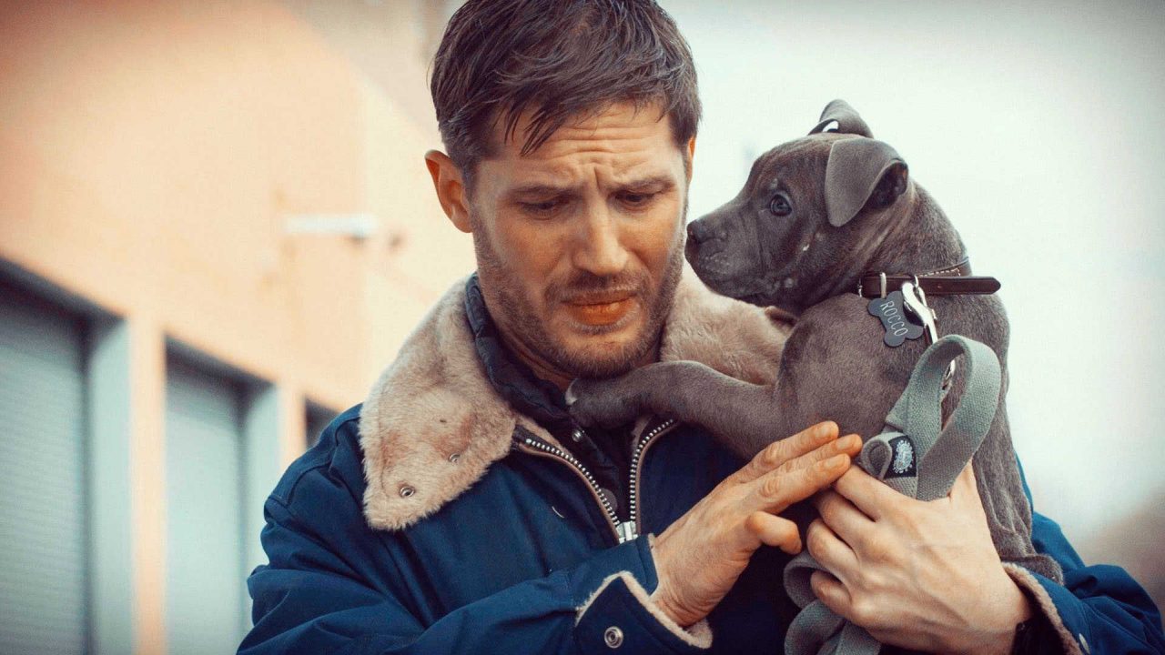 Tom Hardy With Dog Movie Wallpaper - 1080p Full HD Wallpaper