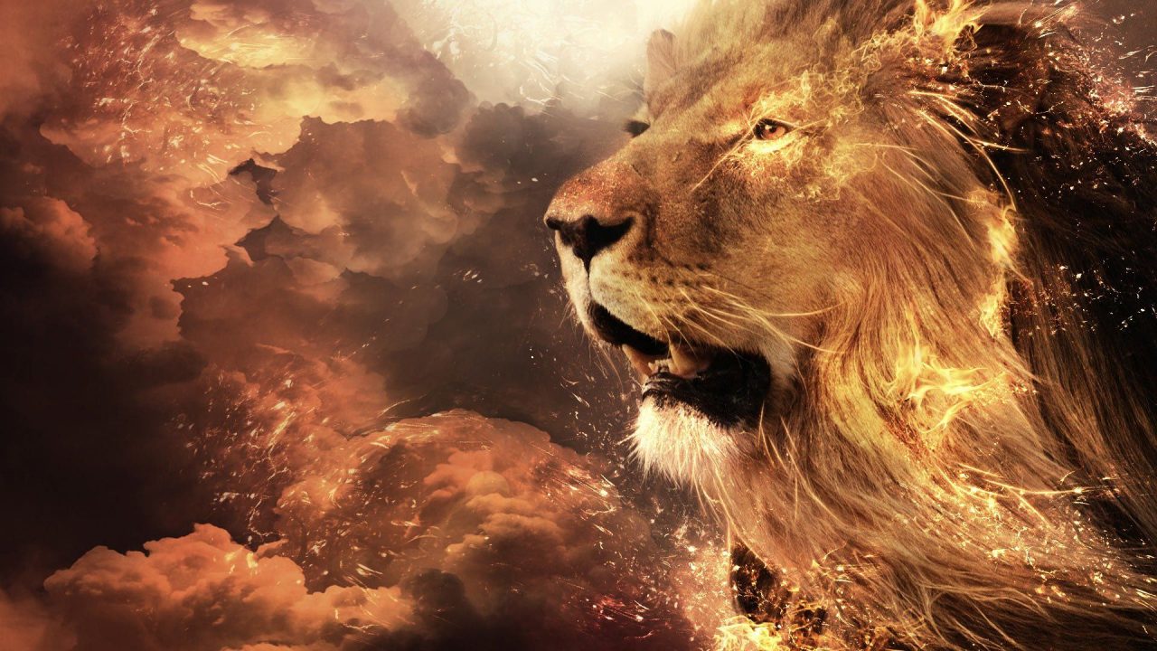 New Stunning HD Wallpapers Of Lions - 1080p Full HD Wallpaper